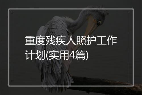 重度残疾人照护工作计划(实用4篇)