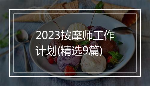 2023按摩师工作计划(精选9篇)