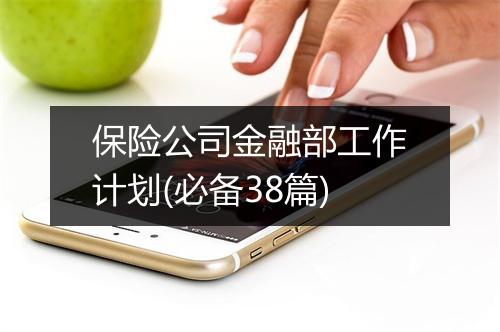 保险公司金融部工作计划(必备38篇)