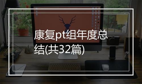 康复pt组年度总结(共32篇)