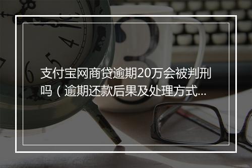 支付宝网商贷逾期20万会被判刑吗（逾期还款后果及处理方式）