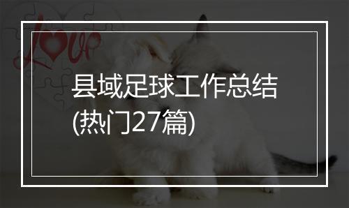 县域足球工作总结(热门27篇)