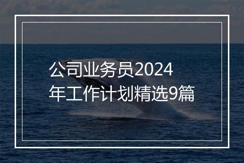 公司业务员2024年工作计划精选9篇