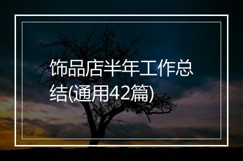 饰品店半年工作总结(通用42篇)