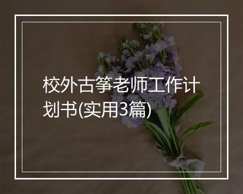 校外古筝老师工作计划书(实用3篇)