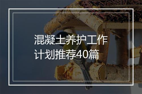 混凝土养护工作计划推荐40篇