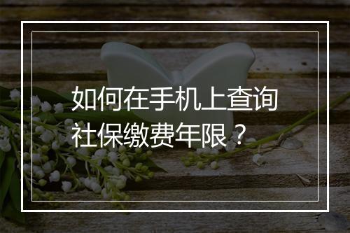 如何在手机上查询社保缴费年限？
