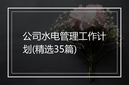 公司水电管理工作计划(精选35篇)