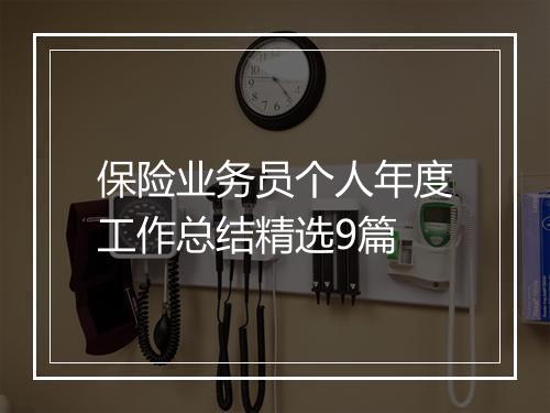 保险业务员个人年度工作总结精选9篇