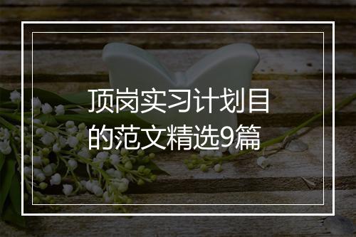 顶岗实习计划目的范文精选9篇