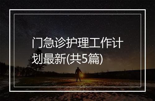 门急诊护理工作计划最新(共5篇)
