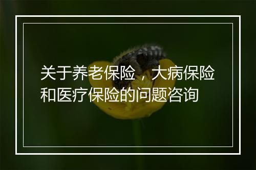 关于养老保险，大病保险和医疗保险的问题咨询