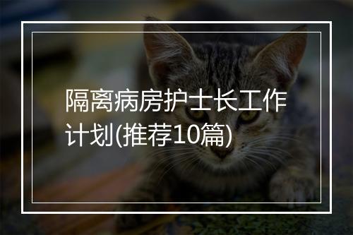 隔离病房护士长工作计划(推荐10篇)