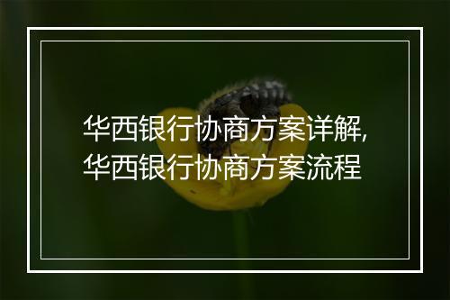 华西银行协商方案详解,华西银行协商方案流程