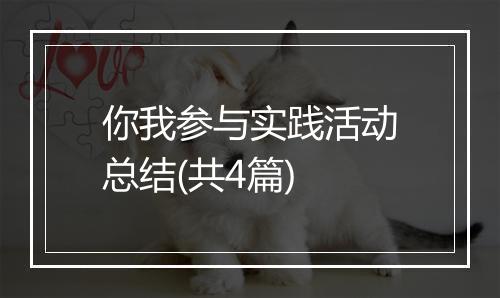你我参与实践活动总结(共4篇)