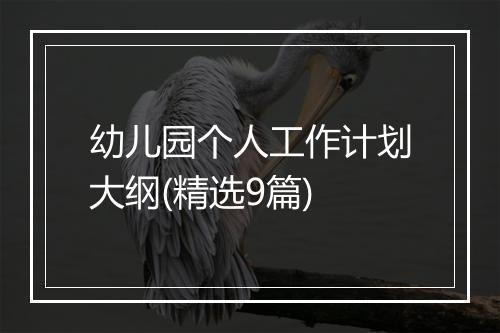 幼儿园个人工作计划大纲(精选9篇)