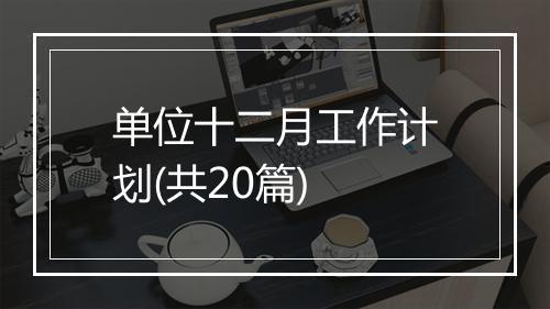 单位十二月工作计划(共20篇)