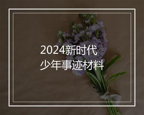 2024新时代少年事迹材料