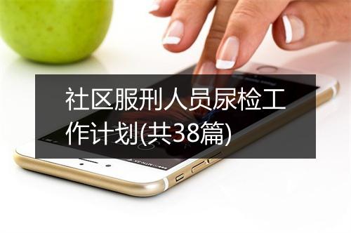 社区服刑人员尿检工作计划(共38篇)