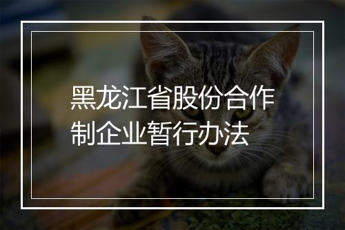 黑龙江省股份合作制企业暂行办法