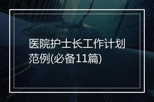 医院护士长工作计划范例(必备11篇)