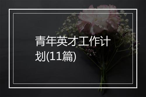 青年英才工作计划(11篇)
