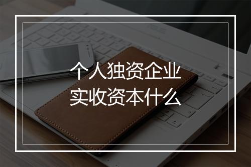 个人独资企业实收资本什么
