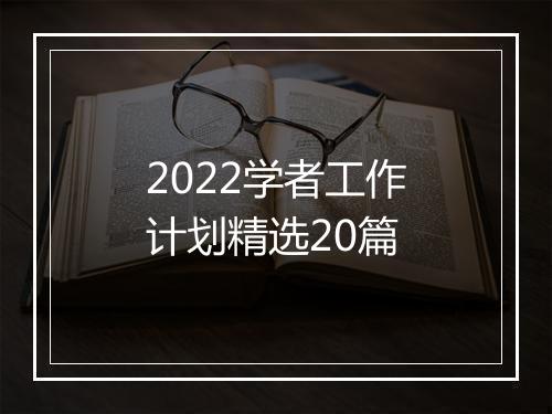 2022学者工作计划精选20篇