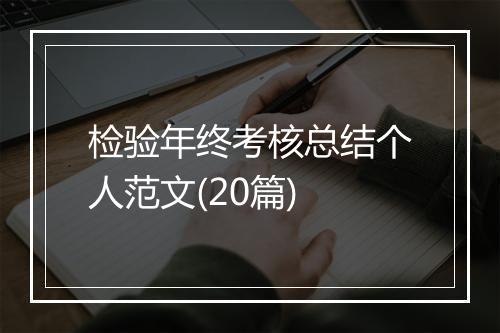 检验年终考核总结个人范文(20篇)