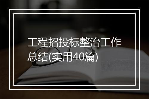 工程招投标整治工作总结(实用40篇)