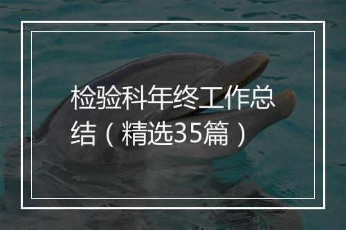 检验科年终工作总结（精选35篇）