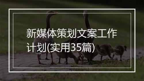 新媒体策划文案工作计划(实用35篇)