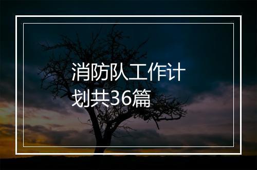 消防队工作计划共36篇