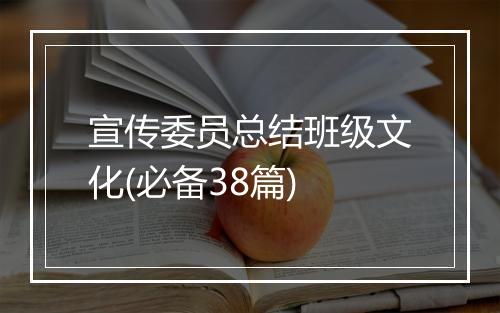 宣传委员总结班级文化(必备38篇)