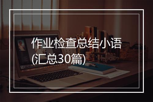 作业检查总结小语(汇总30篇)