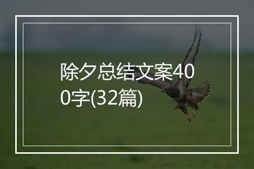 除夕总结文案400字(32篇)