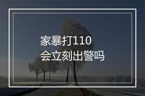家暴打110会立刻出警吗