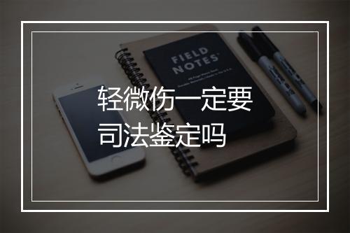 轻微伤一定要司法鉴定吗