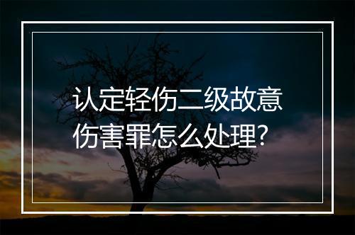 认定轻伤二级故意伤害罪怎么处理?