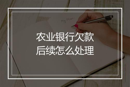 农业银行欠款后续怎么处理