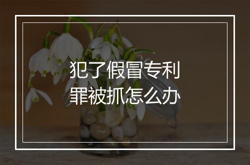 犯了假冒专利罪被抓怎么办