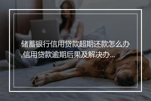 储蓄银行信用贷款超期还款怎么办,信用贷款逾期后果及解决办法
