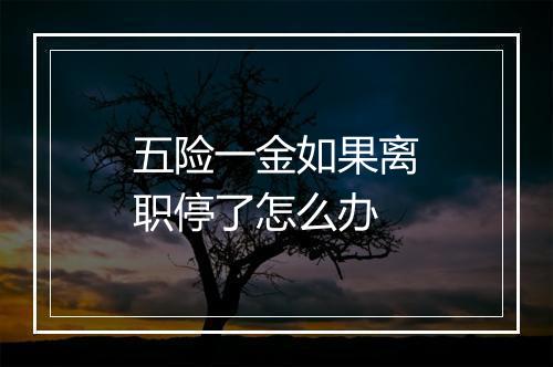 五险一金如果离职停了怎么办