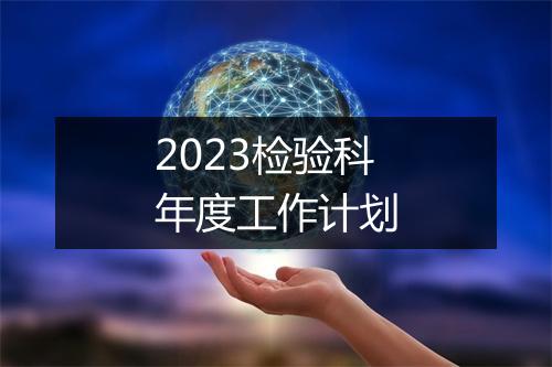 2023检验科年度工作计划