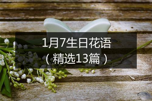 1月7生日花语（精选13篇）