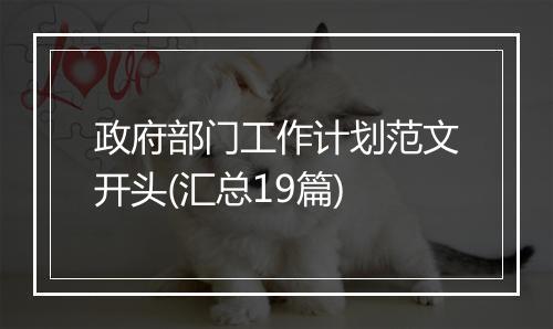 政府部门工作计划范文开头(汇总19篇)