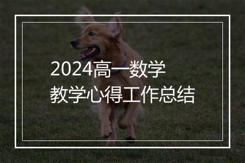 2024高一数学教学心得工作总结