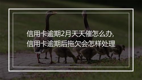 信用卡逾期2月天天催怎么办,信用卡逾期后拖欠会怎样处理