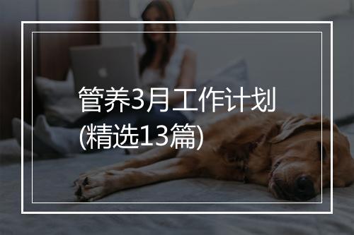 管养3月工作计划(精选13篇)