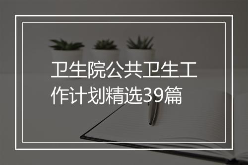卫生院公共卫生工作计划精选39篇